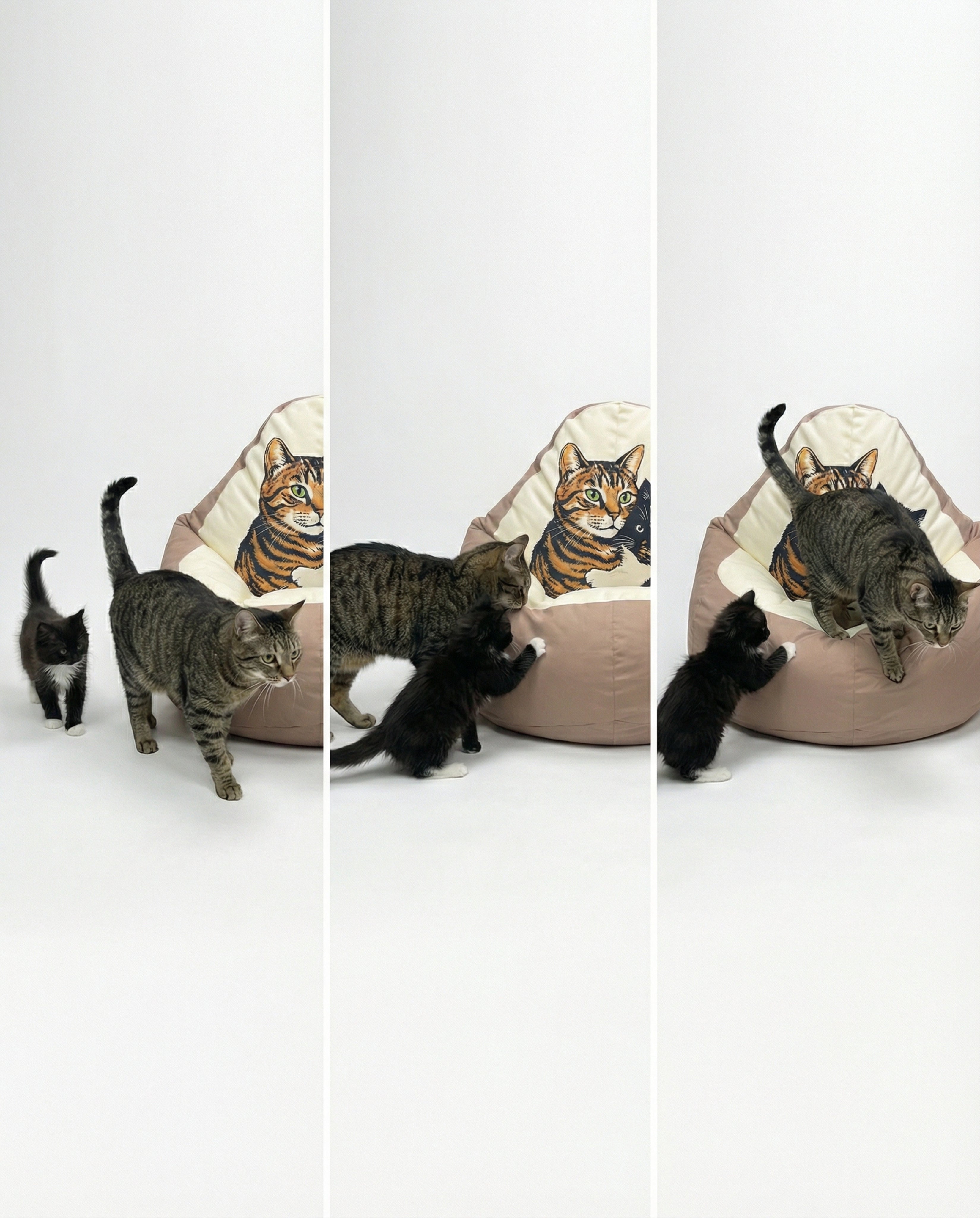 Custom Pet Bean Bag Chair