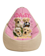 Custom Pet Bean Bag Chair Cover