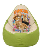 Custom Pet Bean Bag Chair Cover